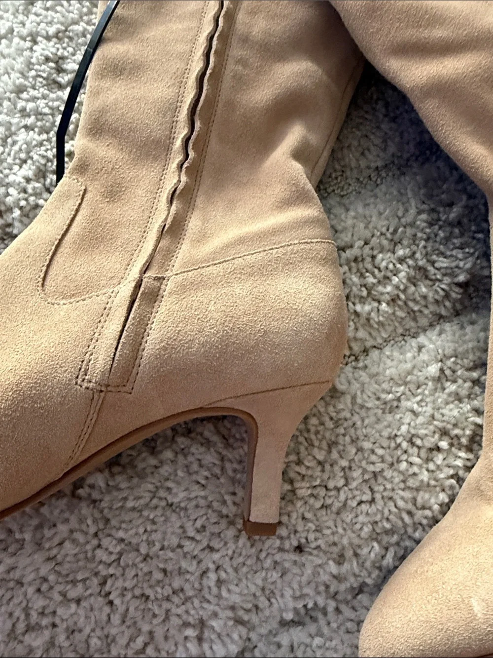 Dolce Vita Beige Suede Over-the-Knee Boots